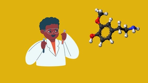 Introduction with Amines (Organic Chemistry)